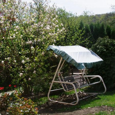 Rajna Vendeghaz Villa Bogacs Luaran gambar