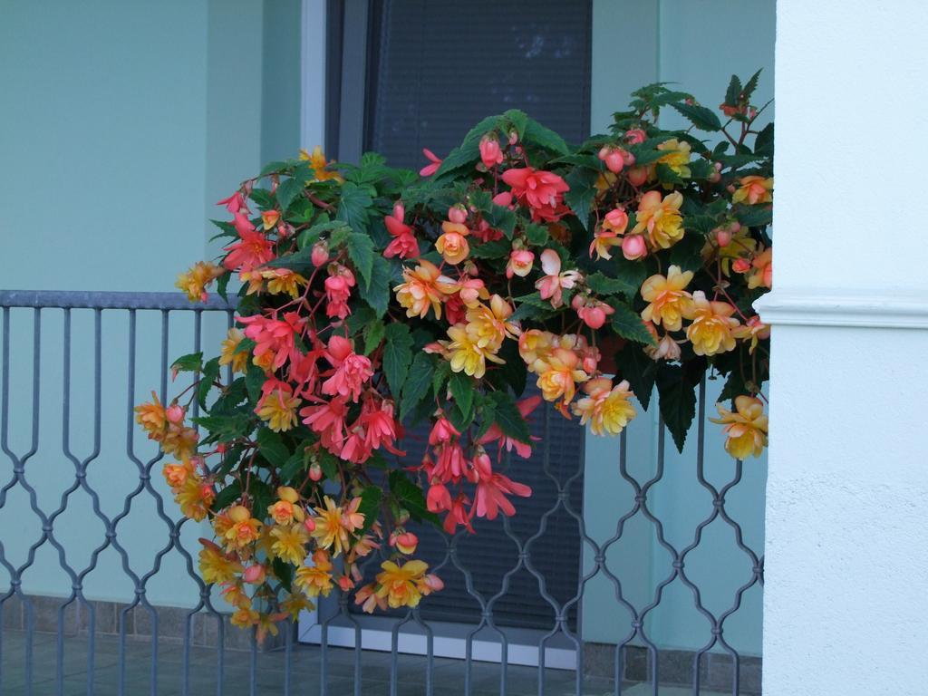Rajna Vendeghaz Villa Bogacs Luaran gambar